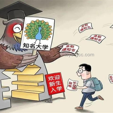 高考后这些信息不要晒：保护隐私与安全的全面指南